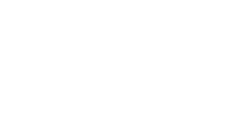 Client Logo 13