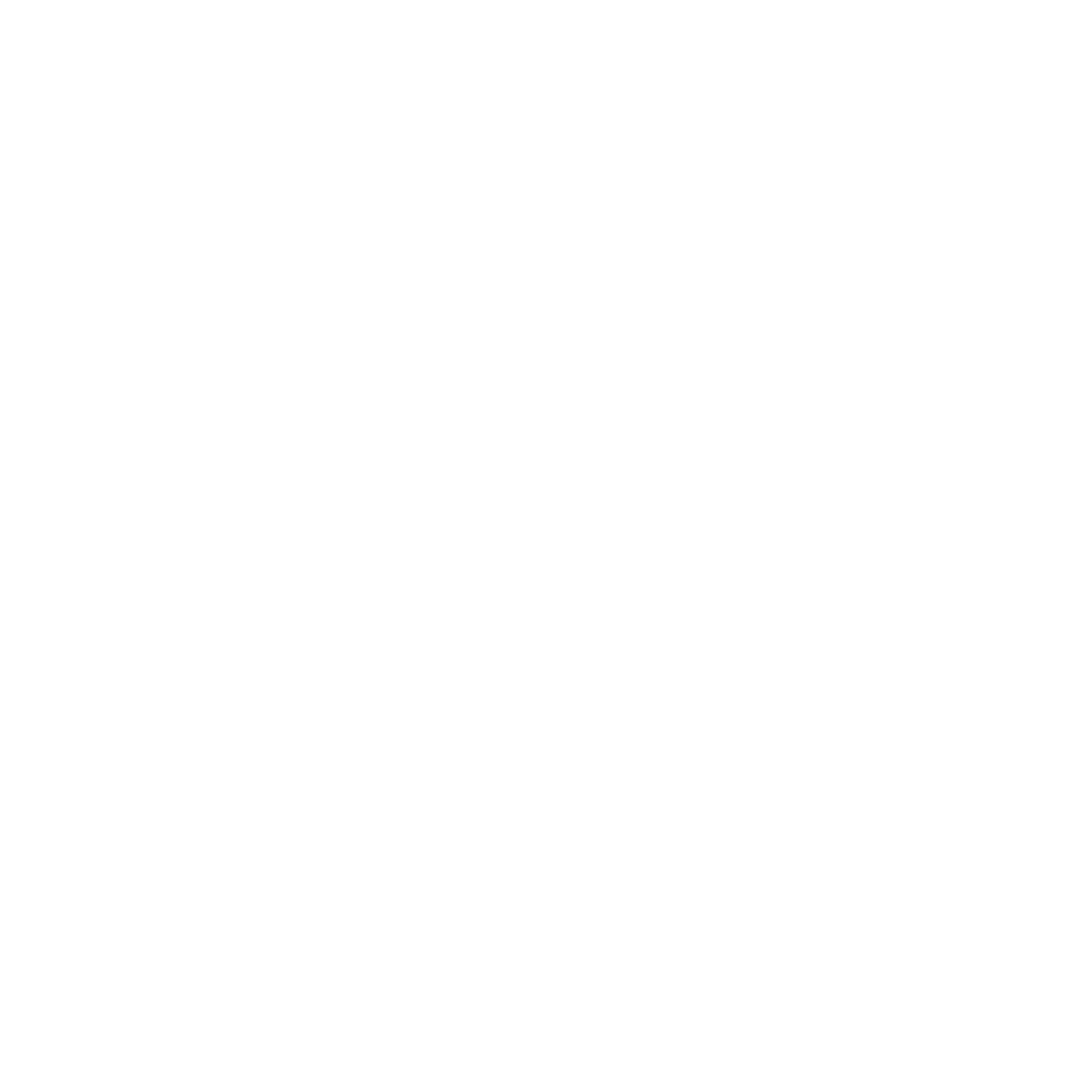 Client Logo 29
